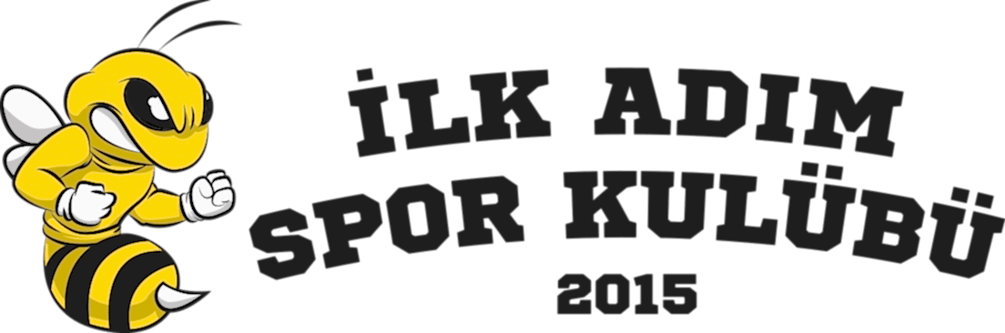 Basketbol okulu logo
